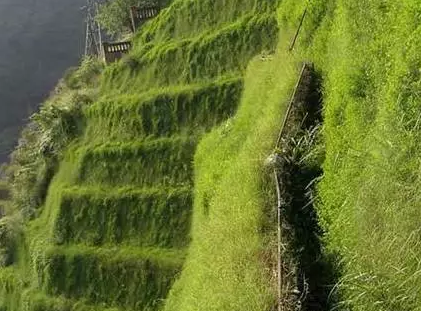 混凝土,环保